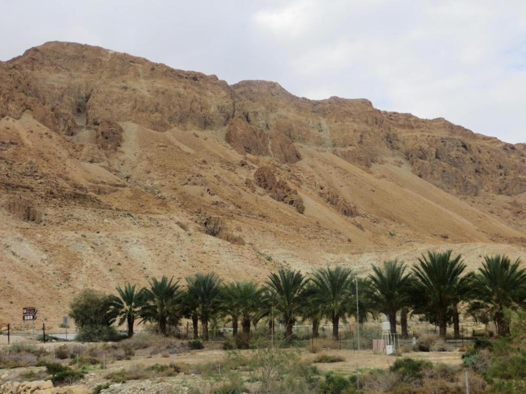 Ein Gedi Rooms 네베 조하르 외부 사진