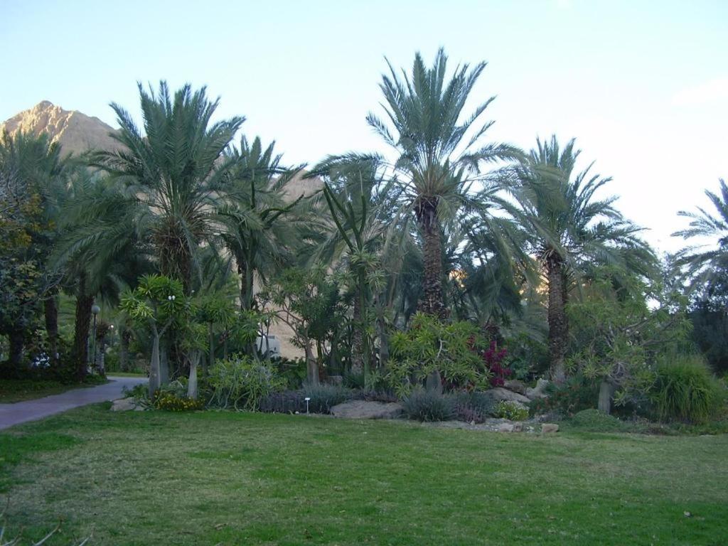 Ein Gedi Rooms 네베 조하르 외부 사진